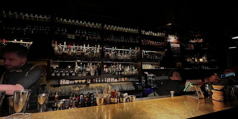 Salut! Bar Escorts in Berlin